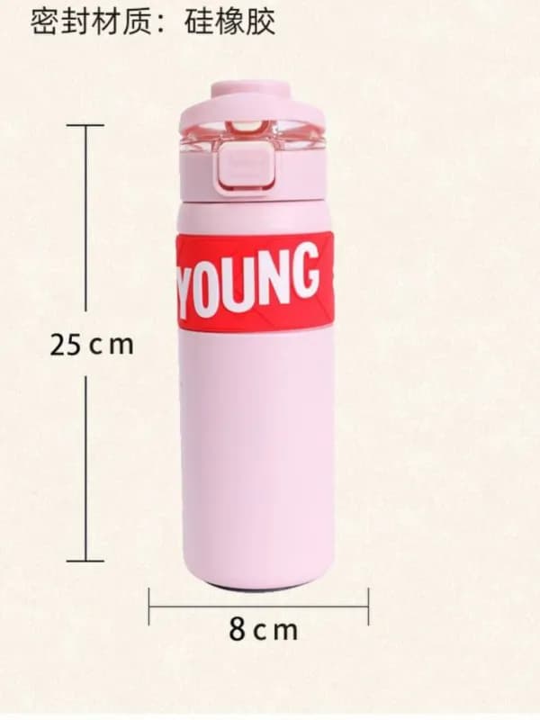Термобутылка YOUNG, 650 мл-3