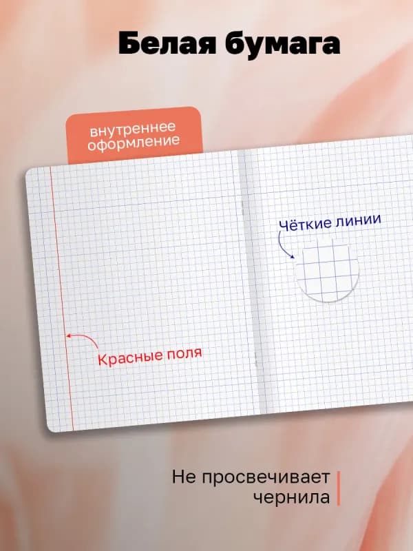 Тетрадь общая 96 листов в клетку-2