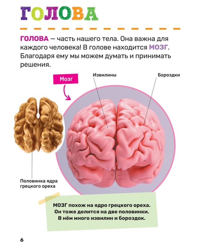 Первая энциклопедия малыша-6