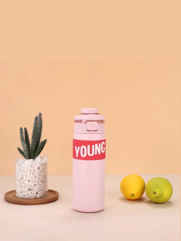 Термобутылка YOUNG, 650 мл-4