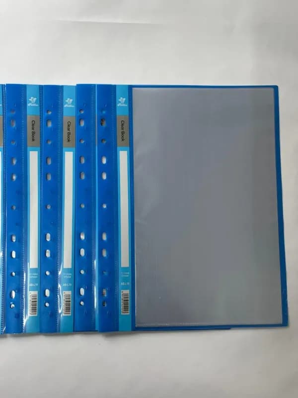 Файловая папка 10 листов синяя-0