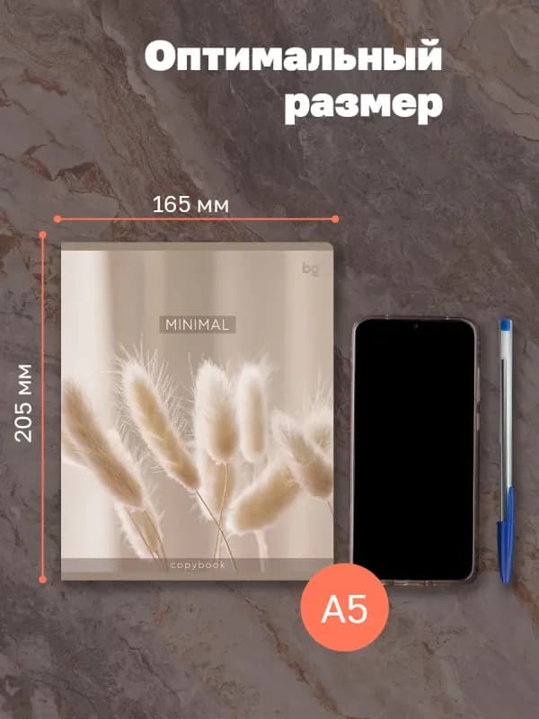 Тетрадь общая 48 листов в клетку-2